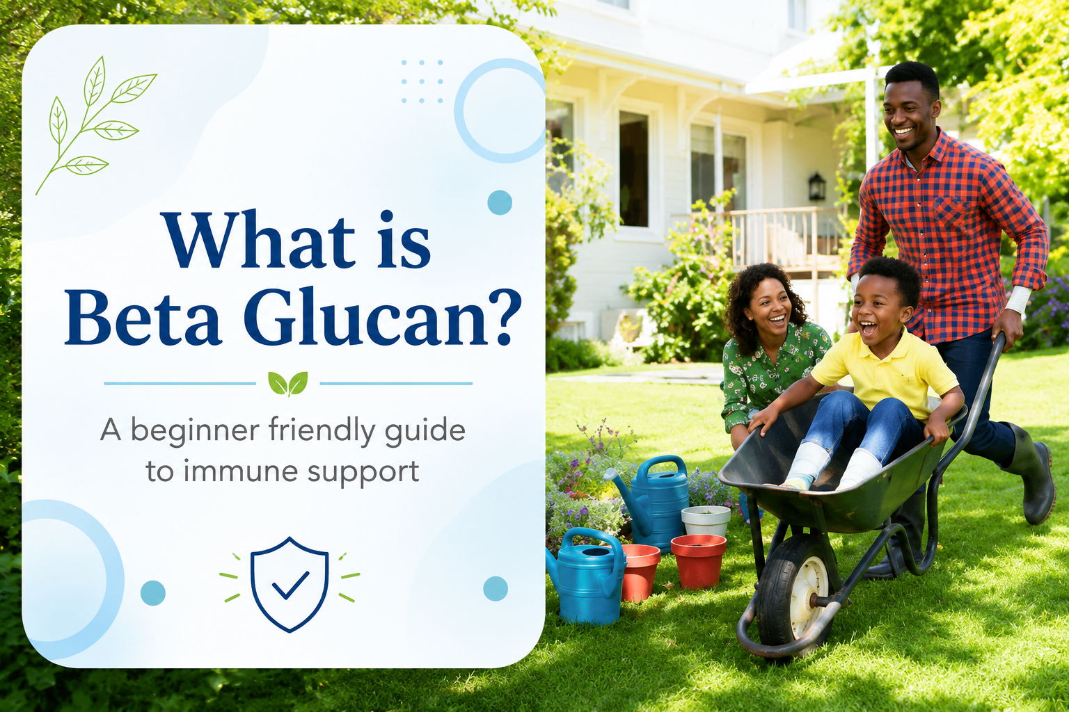 What Is Beta Glucan? A Beginner-Friendly Guide to Immune Support